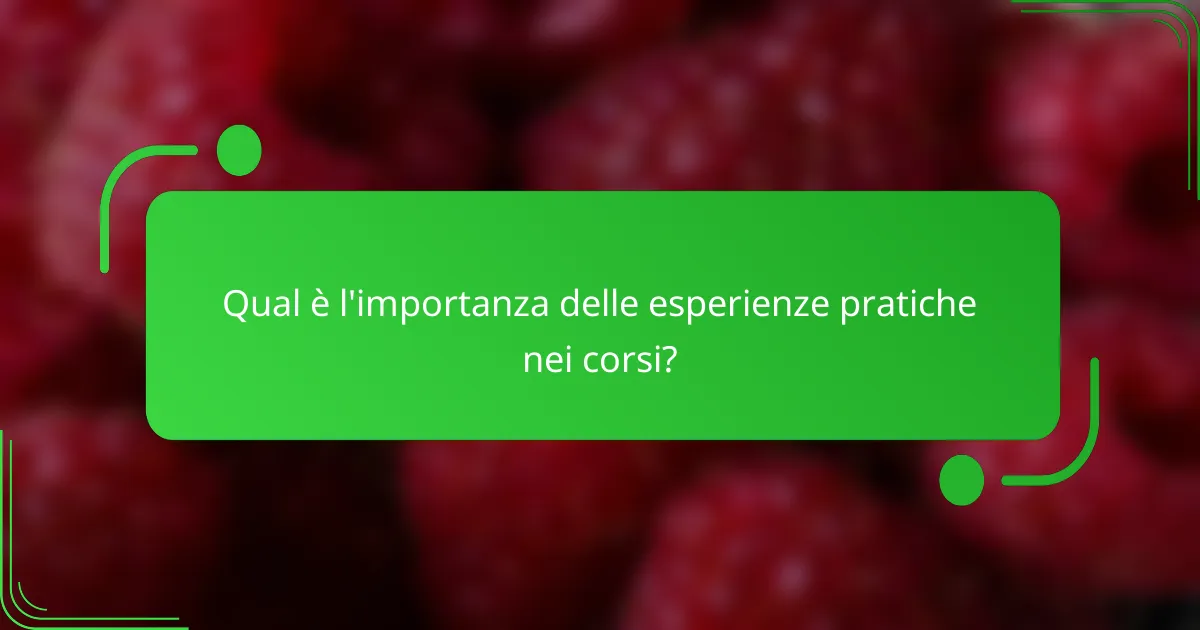 Qual è l'importanza delle esperienze pratiche nei corsi?